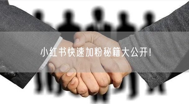 小红书快速加粉秘籍大公开！