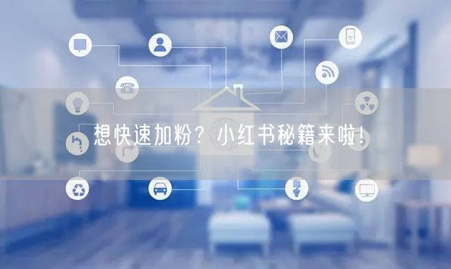 想快速加粉？小红书秘籍来啦！