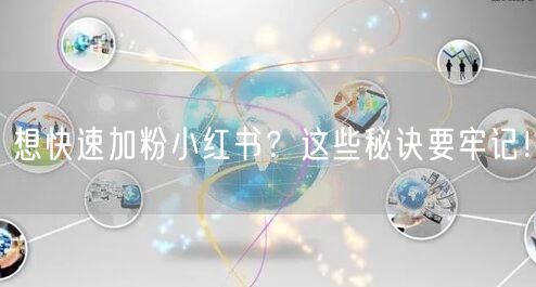 想快速加粉小红书？这些秘诀要牢记！