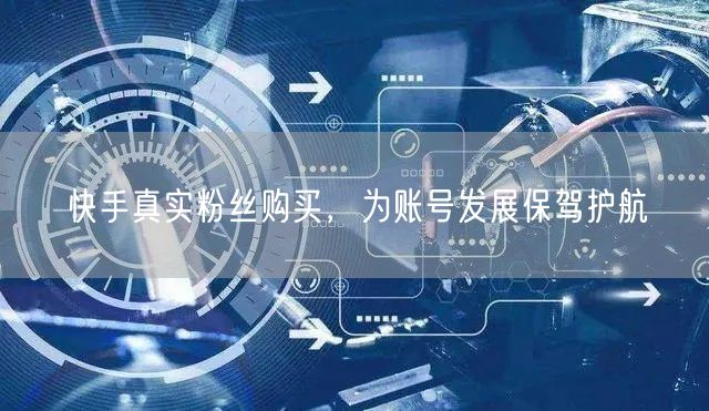 快手真实粉丝购买，为账号发展保驾护航