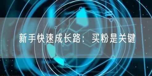 新手快速成长路：买粉是关键