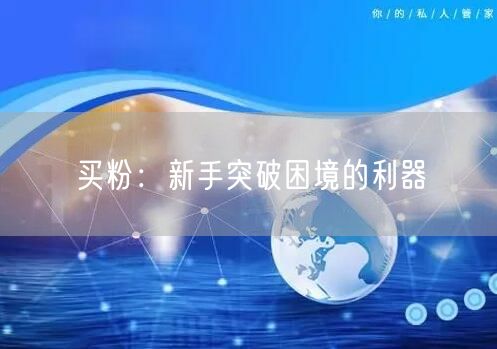 买粉：新手突破困境的利器