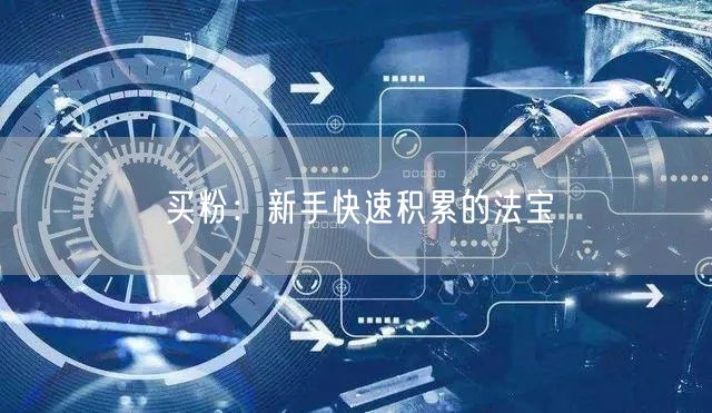 买粉：新手快速积累的法宝