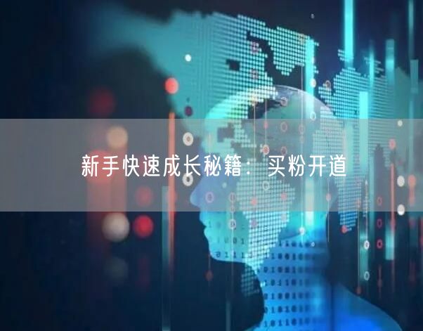 新手快速成长秘籍：买粉开道