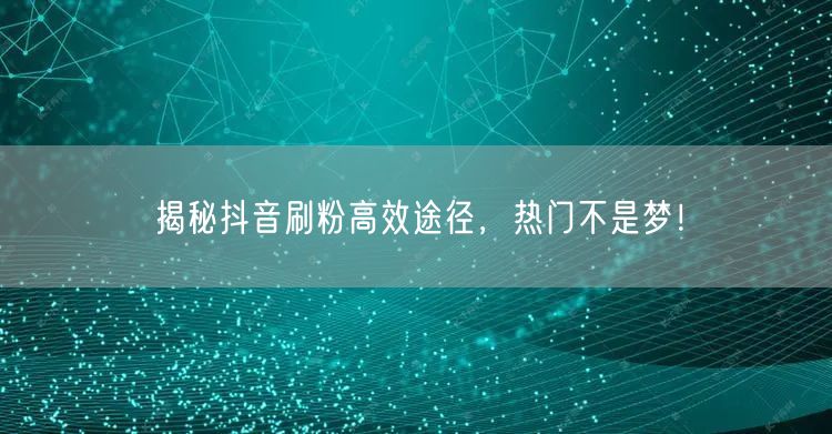 揭秘抖音刷粉高效途径，热门不是梦！