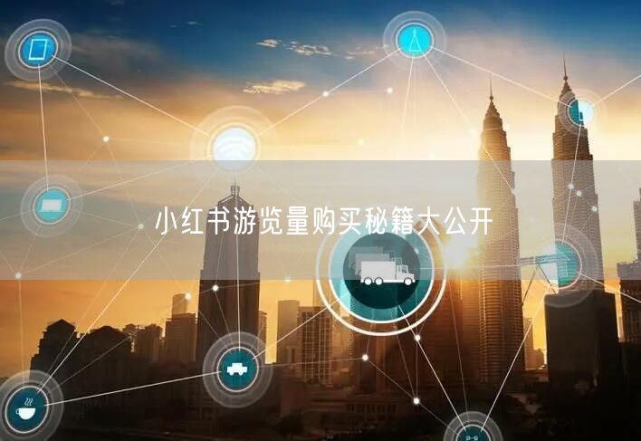 小红书游览量购买秘籍大公开