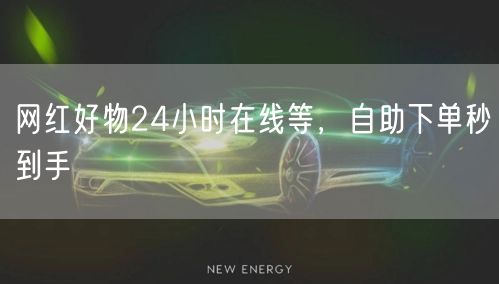 网红好物24小时在线等，自助下单秒到手