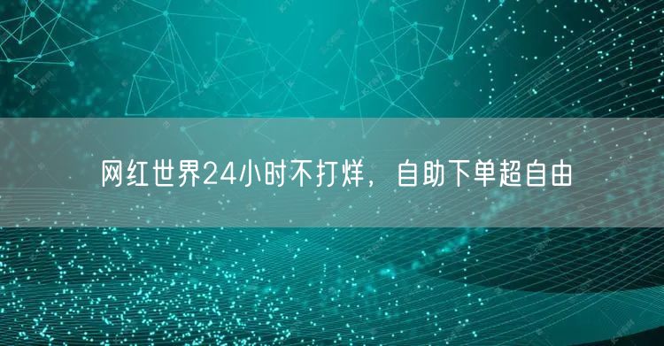网红世界24小时不打烊，自助下单超自由