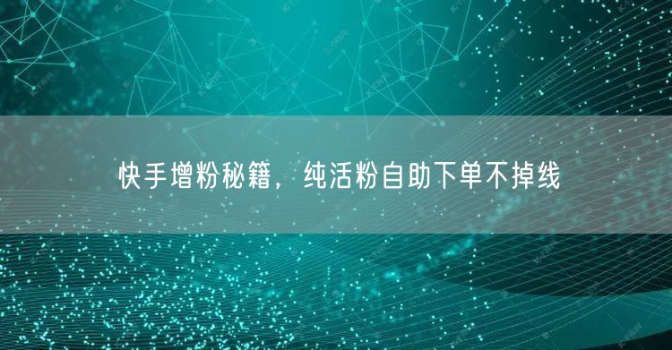 快手增粉秘籍，纯活粉自助下单不掉线