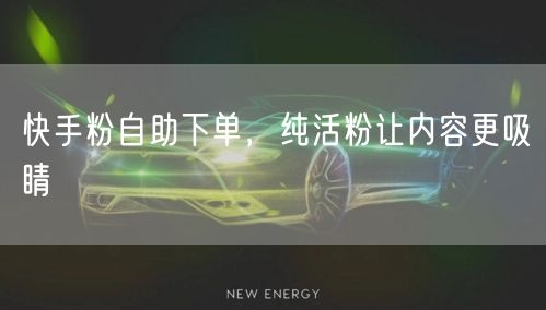 快手粉自助下单，纯活粉让内容更吸睛