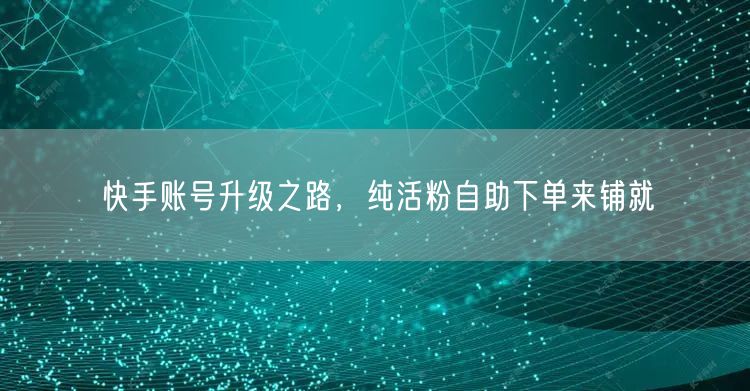 快手账号升级之路，纯活粉自助下单来铺就