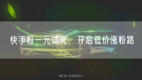 快手粉一元试充，开启低价涨粉路