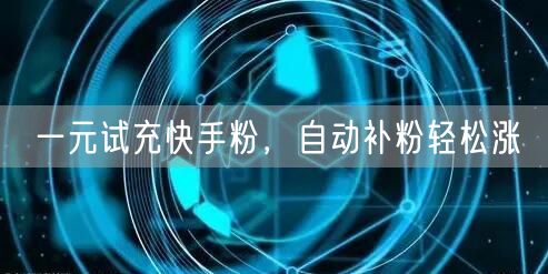 一元试充快手粉，自动补粉轻松涨