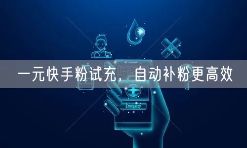 一元快手粉试充，自动补粉更高效