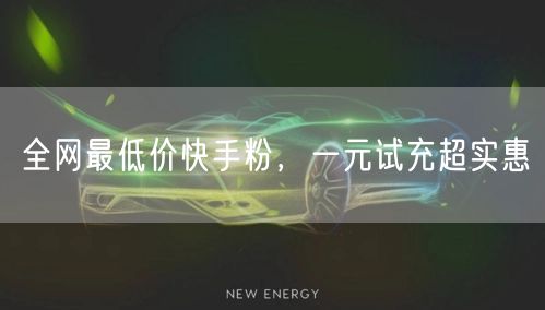 全网最低价快手粉，一元试充超实惠