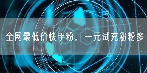 全网最低价快手粉，一元试充涨粉多