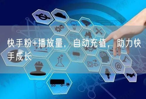 快手粉+播放量，自动充值，助力快手成长
