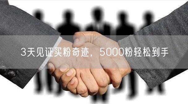 3天见证买粉奇迹，5000粉轻松到手