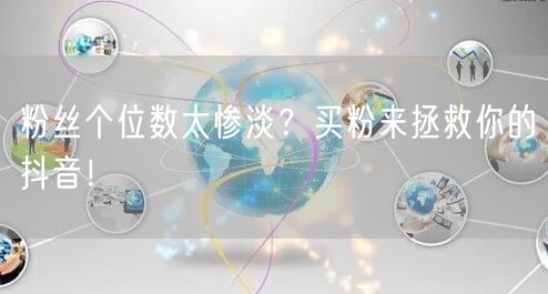 粉丝个位数太惨淡？买粉来拯救你的抖音！