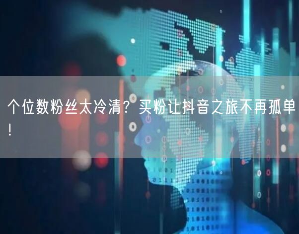 个位数粉丝太冷清？买粉让抖音之旅不再孤单！