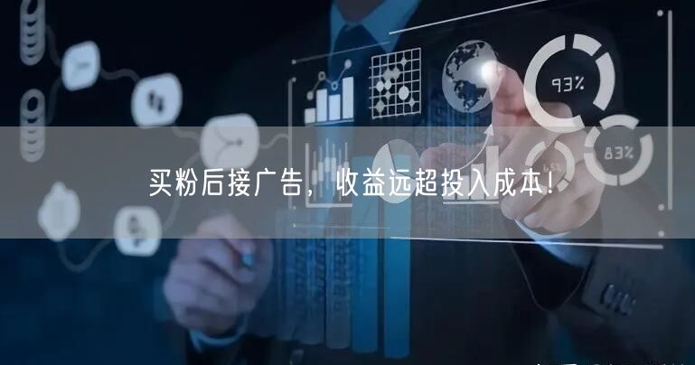 买粉后接广告，收益远超投入成本！