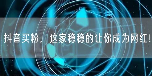 抖音买粉，这家稳稳的让你成为网红！