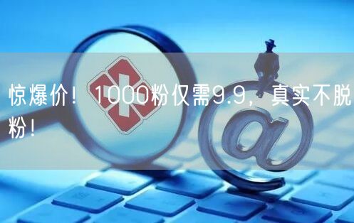 惊爆价！1000粉仅需9.9，真实不脱粉！