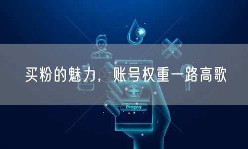 买粉的魅力，账号权重一路高歌