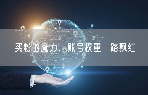买粉的魔力，账号权重一路飘红