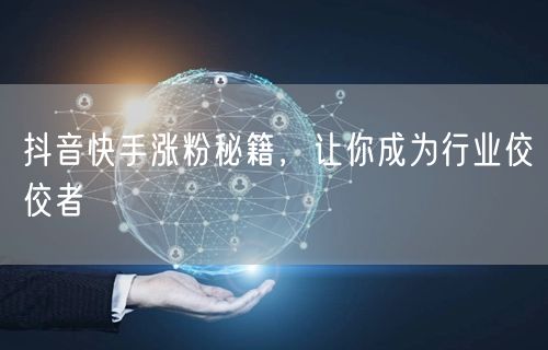 抖音快手涨粉秘籍，让你成为行业佼佼者