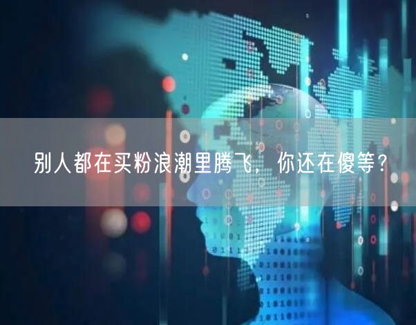 别人都在买粉浪潮里腾飞，你还在傻等？