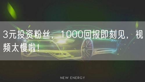 3元投资粉丝，1000回报即刻见，视频太慢啦！