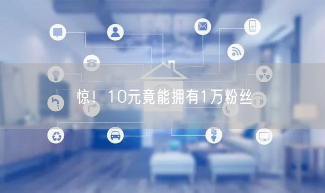 惊！10元竟能拥有1万粉丝