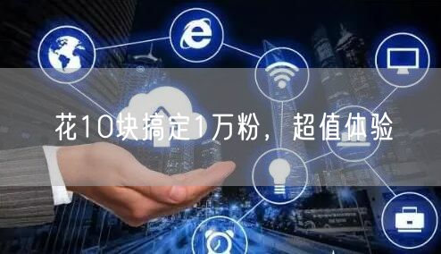花10块搞定1万粉，超值体验