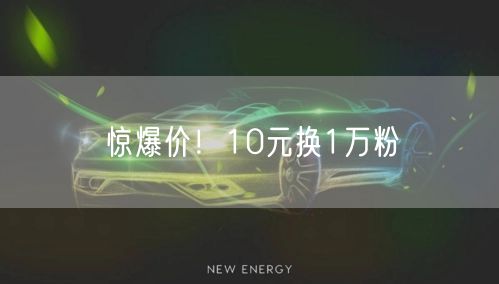 惊爆价！10元换1万粉