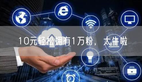 10元轻松拥有1万粉，太牛啦