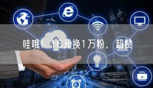 哇哦！10元换1万粉，超赞