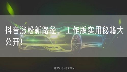 抖音涨粉新路径，工作版实用秘籍大公开！