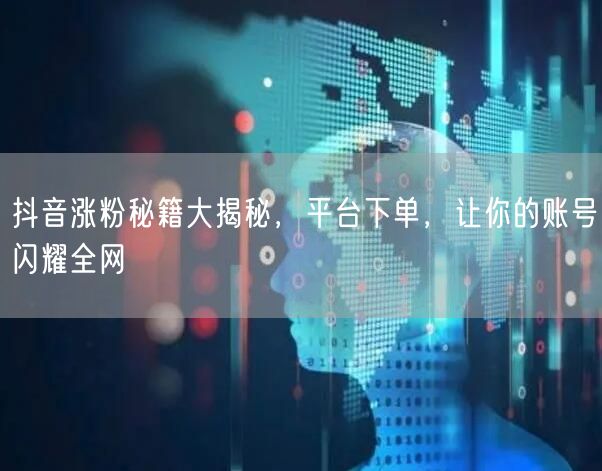 抖音涨粉秘籍大揭秘，平台下单，让你的账号闪耀全网