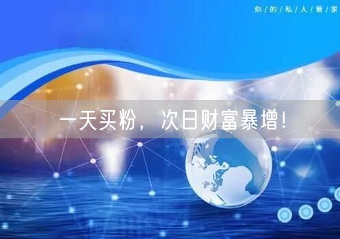一天买粉，次日财富暴增！