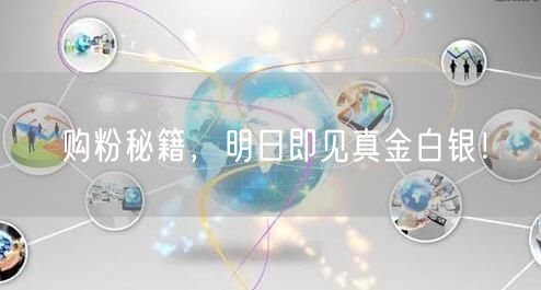 购粉秘籍，明日即见真金白银！