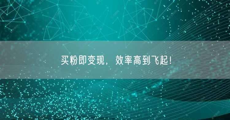 买粉即变现，效率高到飞起！