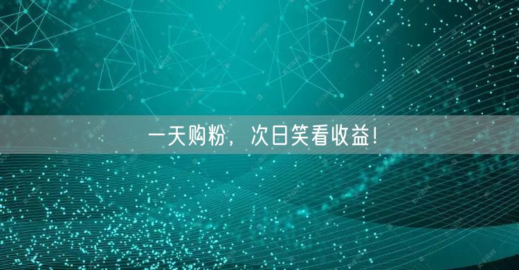 一天购粉，次日笑看收益！