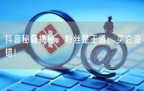 抖音秘籍揭秘，粉丝是王道，买它没错！