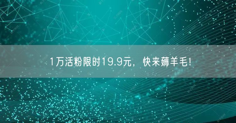 1万活粉限时19.9元，快来薅羊毛！