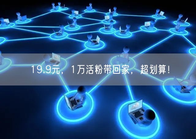 19.9元，1万活粉带回家，超划算！