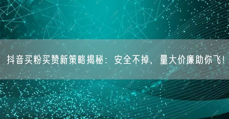 抖音买粉买赞新策略揭秘：安全不掉，量大价廉助你飞！