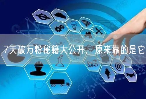 7天破万粉秘籍大公开，原来靠的是它