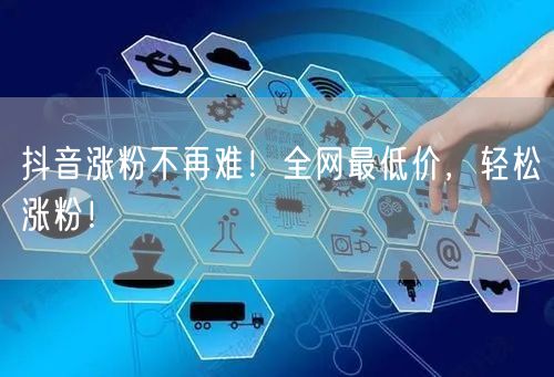 抖音涨粉不再难！全网最低价，轻松涨粉！
