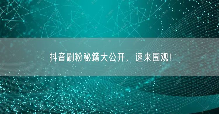 抖音刷粉秘籍大公开，速来围观！